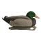 Hardcore Rugged Series Standard Mallard Floater Decoys with Flocked Heads, 6 Pack