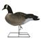 Hardcore Rugged Series Full Body Canada Goose Decoys with Flocked Heads, 6 Pack