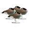 Hardcore Rugged Series Full Body Canada Goose Sleeper Decoys with Flocked Heads, 4 Pack