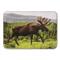 Shavel Home Products High Pile Oversized Luxury Throw, Moose