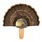 Walnut Hollow Deluxe Turkey Fan Mount Kit, Sunrise Call