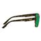 WaterLand Sobro Polarized Sunglasses, Brown Tortoise/green