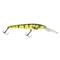 Reef Runner 900 Series Reef Stalker Jr, Firetiger