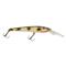 Reef Runner 900 Series Reef Stalker Jr, Baby Walleye