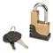 TowSmart Adjustable Brass Coupler Lock