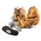 PENN International® VISX Extreme Conventional Reel, Gold