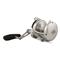 PENN International® VISX Extreme Conventional Reel, Silver