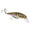 Strike King KVD Elite 200 Jerkbait, Phantom Bluegill