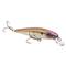 Strike King KVD Elite 200 Jerkbait, Pro Tn Shad