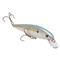 Strike King KVD Elite 200 Jerkbait, Sexy Shad