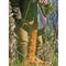Domain Bad Habit Attractant, 20-lb. Bag