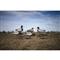 Higdon Magnum Full Body Mallard Duck Decoys, Flocked Heads, 6 Pack