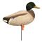 Higdon Magnum Full Body Mallard Duck Decoys, Flocked Heads, 6 Pack