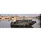 Higdon Battleship Black Duck Decoys, 6 Pack