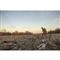 Higdon Quick Draw Layout Blind, Dark