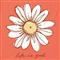 Life Is Good Women's Relaxed Daisy V-Neck Crusher Lite T-Shirt, Mango Orange