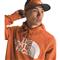 The North Face Half Dome Pullover Hoodie, Iron Bronze/tnf White
