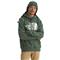 The North Face Half Dome Pullover Hoodie, Duck Green/tnf White