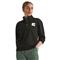 The North Face Women's Box Half Dome Quarter Zip, Tnf Black