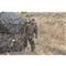 Guide Gear Educator 2.0 Ground Blind