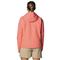 Columbia Women's Hikebound Jacket, Alpenglow