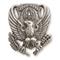 U.S. Air Force ROTC Military Surplus Pins, 20 Pack