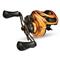 Lew's Custom Pro Casting Reel