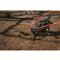 FlyWay 90 Trap Automatic Clay Pigeon Thrower