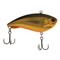 Berkley Jack, Black Gold