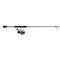 Abu Garcia Max X Spinning Combo
