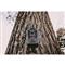 Stealth Cam Deceptor Max 2.0 AI 40 Cell Trail Camera, 2 Pack