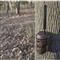 Muddy Trifecta 180 Cellular Trail Camera, 36 MP