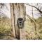 Wildgame Innovations Terra XT 2.0 Cellular Trail Camera, 3 Pack