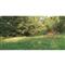 Rakk Fuel Food Plot Seed, Own The Season