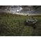 Domain Landing Strip Food Plot Seed