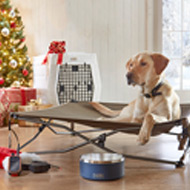 GIFTS FOR DOGS