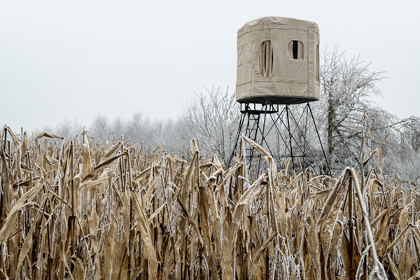 TREE STAND SALE