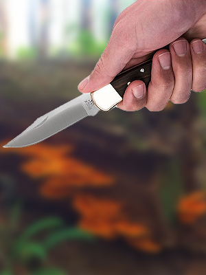 BUCK KNIVES 110 FOLDING HUNTER