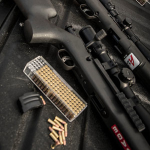FIREARMS & AMMO