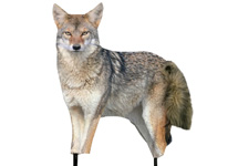 PREDATOR DECOYS