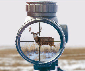 SELECT ON SALE OPTICS