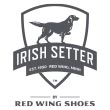 IRISH SETTER