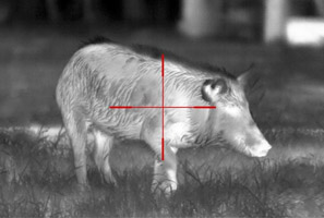THERMAL IMAGING