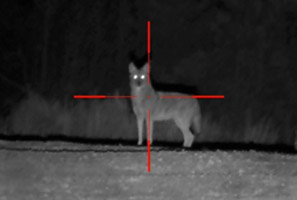 NIGHT VISION