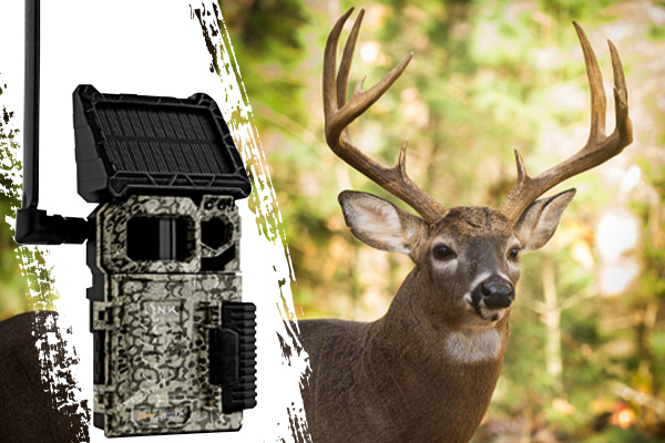 TRAIL CAMERAS SELECT ON SALE