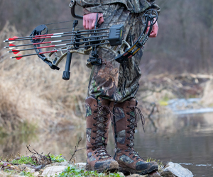 COMPOUND BOWS