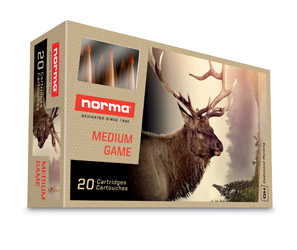 .243 WINCHESTER AMMO