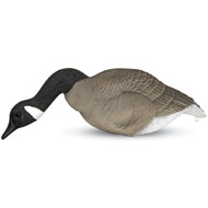 Goose