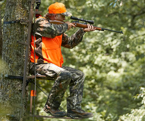 RIFLES