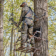 Ladder Stands